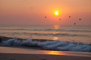 summer_sun-1